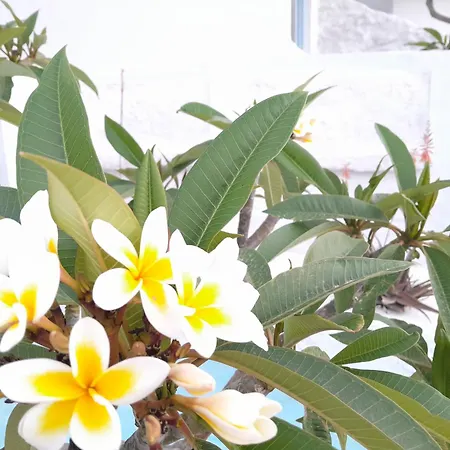 Sunset With Int Jacuzzi *