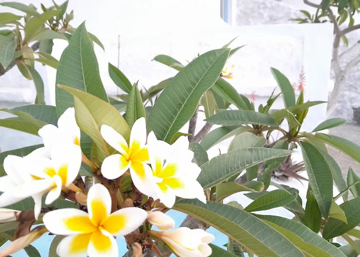 Sunset With Int Jacuzzi *